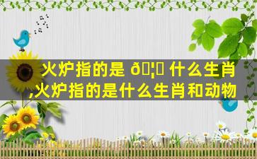火炉指的是 🦈 什么生肖,火炉指的是什么生肖和动物